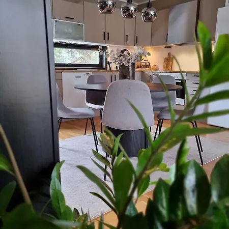 Modern In The Middle Of Center Apartment